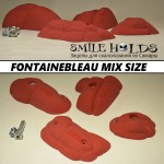 fontainebleau-mix-size6